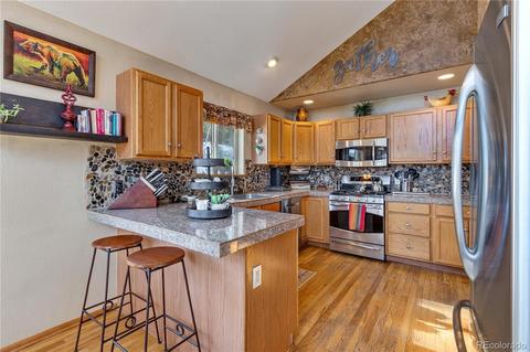 206 Dick Mountain Dr, Bailey, CO 80421 photo 10