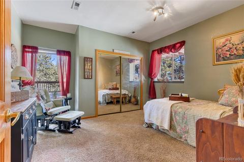 206 Dick Mountain Dr, Bailey, CO 80421 photo 24