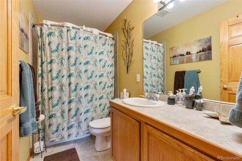 206 Dick Mountain Dr, Bailey, CO 80421 photo 28