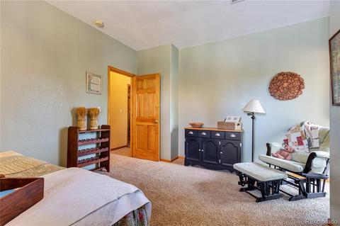 206 Dick Mountain Dr, Bailey, CO 80421 photo 25