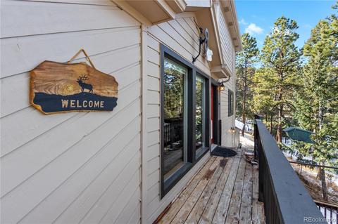 206 Dick Mountain Dr, Bailey, CO 80421 photo 33