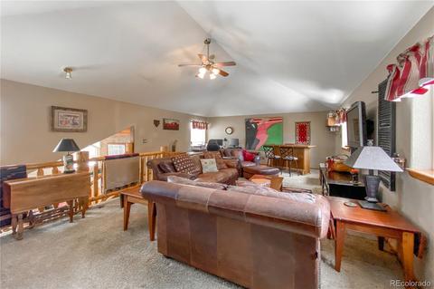 206 Dick Mountain Dr, Bailey, CO 80421 photo 21