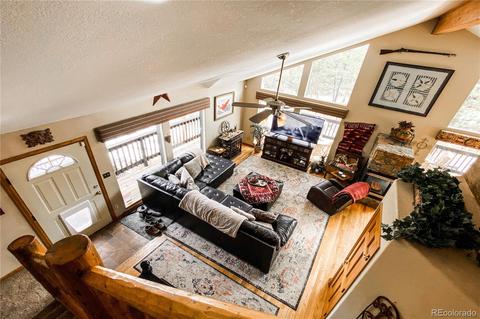 206 Dick Mountain Dr, Bailey, CO 80421 photo 4