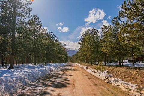 209 Gunsmoke Dr, Bailey, CO 80421 photo 24