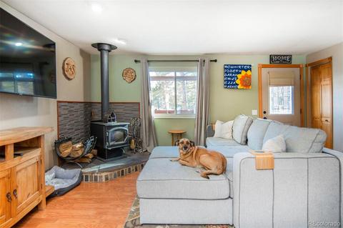 209 Gunsmoke Dr, Bailey, CO 80421 photo 2