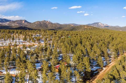 209 Gunsmoke Dr, Bailey, CO 80421 photo 34