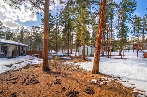 209 Gunsmoke Dr, Bailey, CO 80421 photo 29