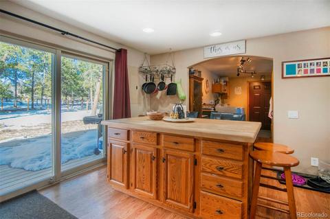 209 Gunsmoke Dr, Bailey, CO 80421 photo 5