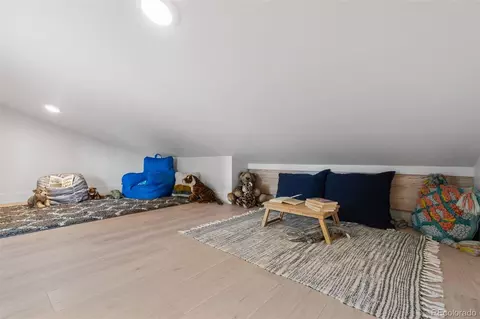 Other - 542 Conifer Dr, Bailey, CO 80421 photo 8 of 11