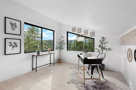 Other - 542 Conifer Dr, Bailey, CO 80421 photo 7 of 11