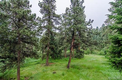 8572 S Ault Ln, Morrison, CO 80465 photo 19