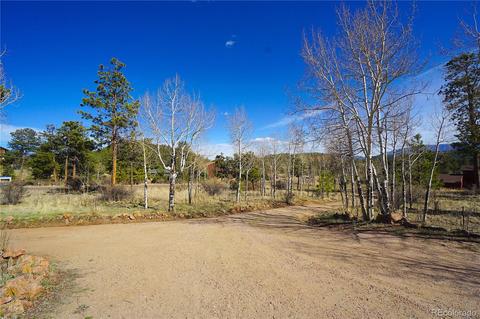 13323 S Mohawk St, Pine, CO 80470 photo 5