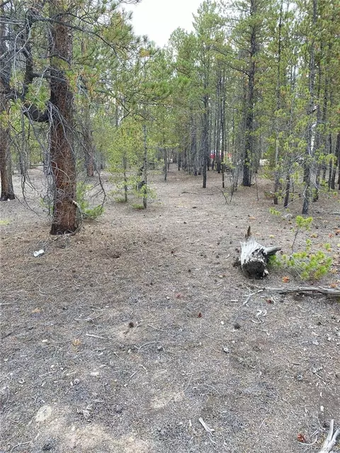 340 Peak View Dr, Twin Lakes, CO 80461