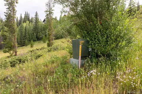 148 Revels Run, Fraser, CO 80442 photo 18