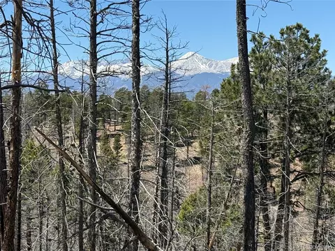lot1154 Bluhdorn Pl, Fort Garland, CO 81133