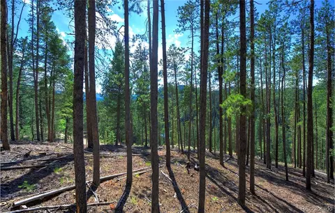 6824 Lynx Lair Rd, Evergreen, CO 80439