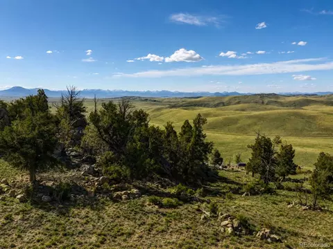 2171 Watonga Rd, Hartsel, CO 80449