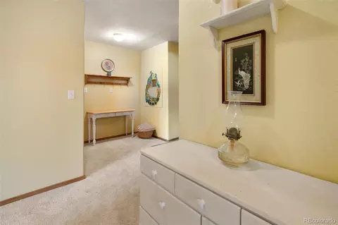 996 Spring Valley Dr, Divide, CO 80814 photo 32