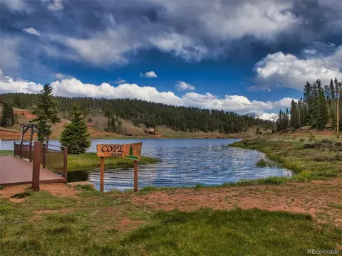 996 Spring Valley Dr, Divide, CO 80814 photo 41