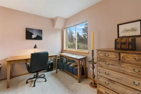 996 Spring Valley Dr, Divide, CO 80814 photo 29