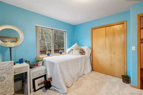 996 Spring Valley Dr, Divide, CO 80814 photo 19
