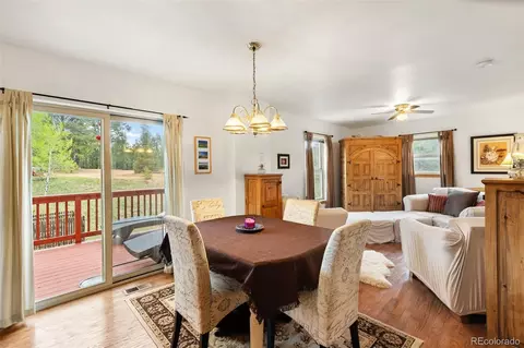 996 Spring Valley Dr, Divide, CO 80814 photo 13