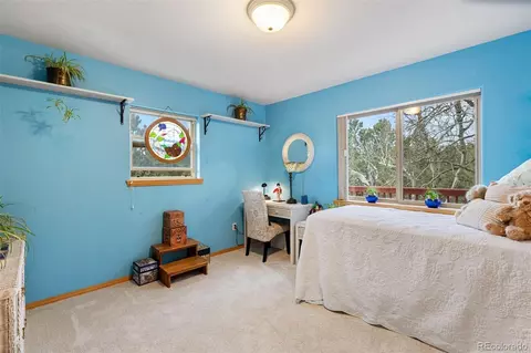 996 Spring Valley Dr, Divide, CO 80814 photo 18