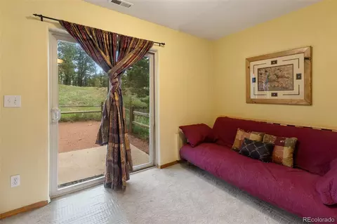 996 Spring Valley Dr, Divide, CO 80814 photo 30