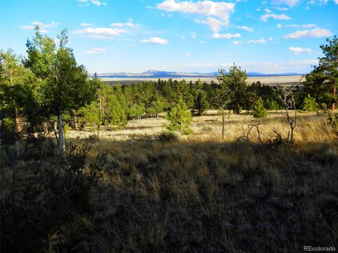 605 Adobe Rd, Hartsel, CO 80449 photo 18