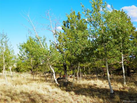 605 Adobe Rd, Hartsel, CO 80449 photo 15