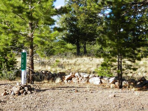 605 Adobe Rd, Hartsel, CO 80449 photo 2