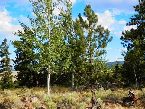 605 Adobe Rd, Hartsel, CO 80449 photo 14