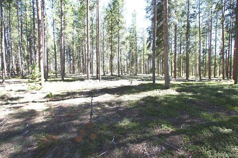 71 County Road 512, Tabernash, CO 80478 photo 5
