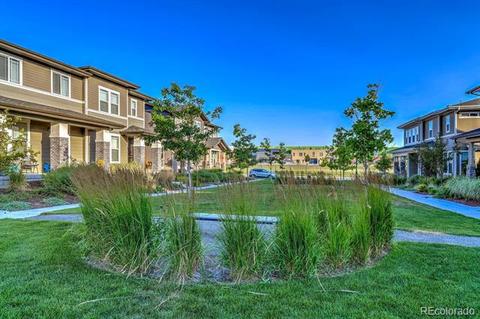 11183 E 28th Pl, Denver, CO 80238 photo 24