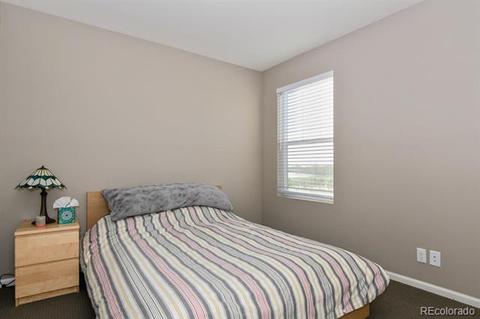 11183 E 28th Pl, Denver, CO 80238 photo 22