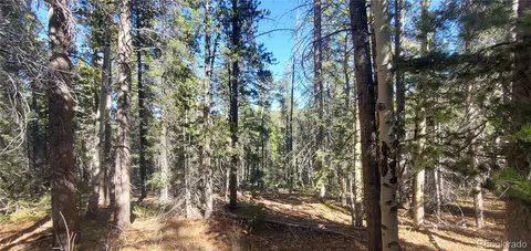 lot3023 3024 Bolwell Ln, Fort Garland, CO 81133