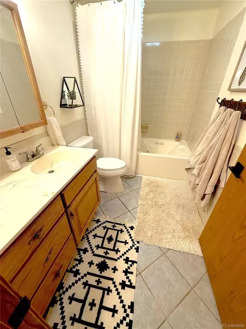 35 Shillelagh Pl, Howard, CO 81233 photo 9