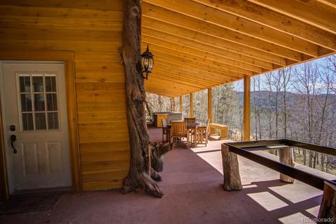 72 Mullite Ln, Divide, CO 80814 photo 3