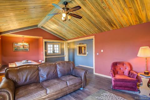 72 Mullite Ln, Divide, CO 80814 photo 7