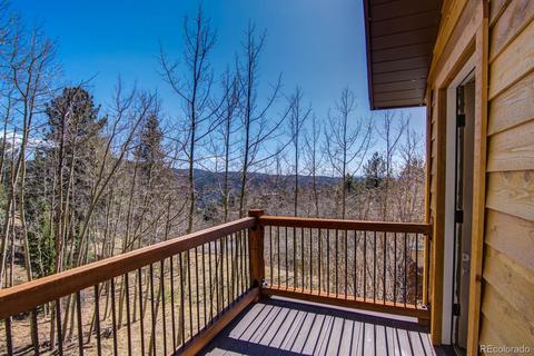 72 Mullite Ln, Divide, CO 80814 photo 16