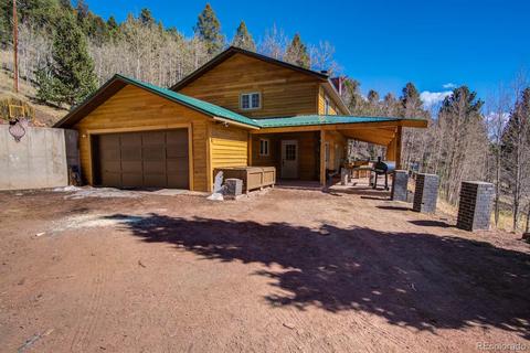 72 Mullite Ln, Divide, CO 80814 photo 1