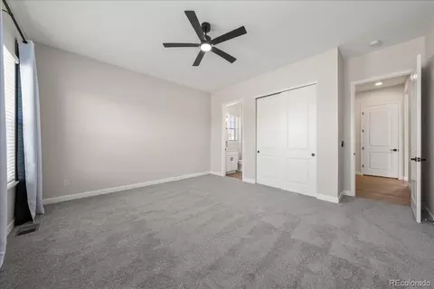 1335 Alyssa Dr, Timnath, CO 80547 photo 17
