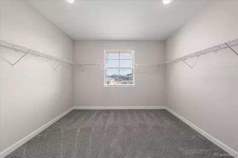 1335 Alyssa Dr, Timnath, CO 80547 photo 23