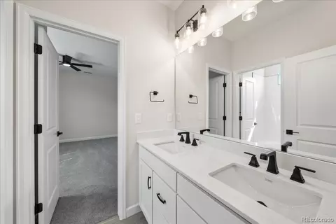 1335 Alyssa Dr, Timnath, CO 80547 photo 35
