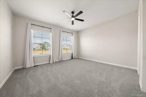 1335 Alyssa Dr, Timnath, CO 80547 photo 15