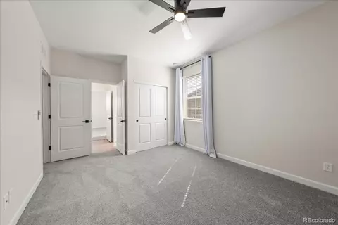 1335 Alyssa Dr, Timnath, CO 80547 photo 34