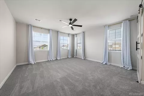 1335 Alyssa Dr, Timnath, CO 80547 photo 19