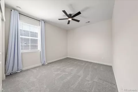 1335 Alyssa Dr, Timnath, CO 80547 photo 33