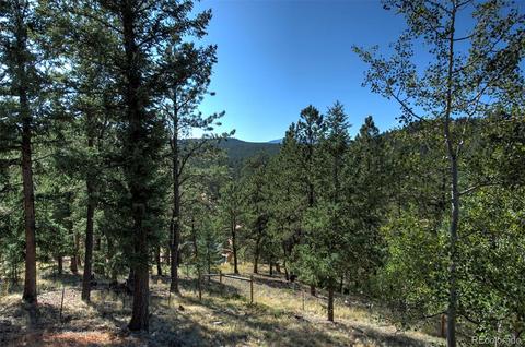 33678 Jennifer Rd, Pine, CO 80470 photo 27