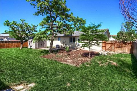 8341 Harris St, Denver, CO 80229 photo 27